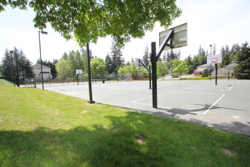 Lower level fireplace